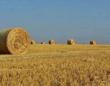 Envío a la India de la línea de producción de carbón vegetal de biomasa